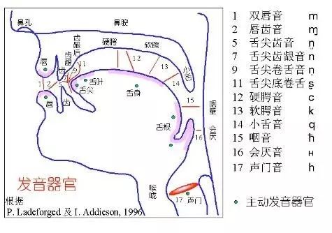 想知道'exercise'的正确发音？点这里，一秒学会标准读音！ 2