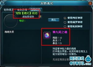 《九天仙梦》宠物养成秘籍：解锁未绑定BB的称霸之道 4