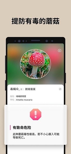 蘑菇识别扫一扫手机版 截图2
