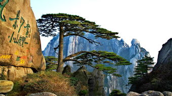 杭州至千岛湖&黄山精华两日游记：山水之旅经典推荐 1