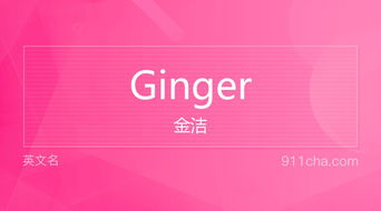 揭秘！'Ginger'一词背后的多彩含义与趣味文化 1