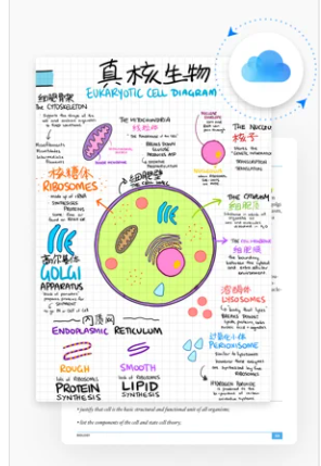 GoodNotes5中文版 1