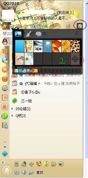 打造个性空间！QQ自定义皮肤全攻略 2