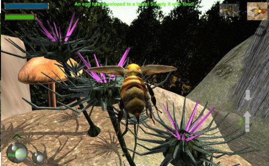 蜜蜂生存模拟器手机版 1