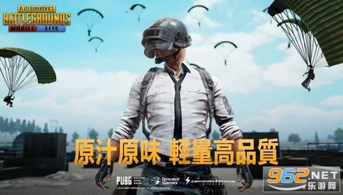 如何下载并安装刺激战场国际服（PUBG MOBILE）的详细教程？ 4