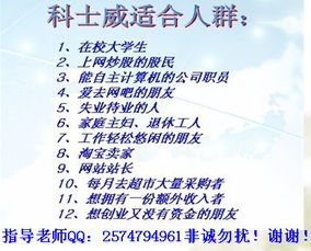 揭秘：高效网上赚钱的各种方法 2