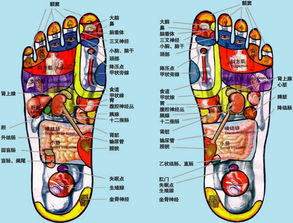 保健按摩手法大全有哪些？ 1