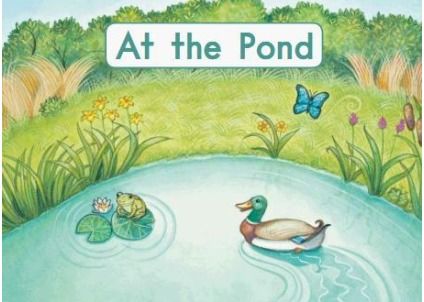 What Does 'Pond' Mean in English? 2