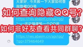 揭秘！轻松查看手机QQ与好友的共同群聊数量 4