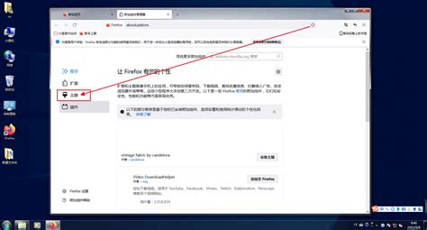 更换浏览器皮肤的方法 3