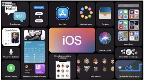 一键解锁！iOS14轻点背面截屏技巧 2