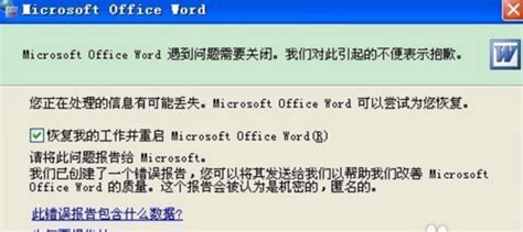 Microsoft Office Word出现问题无法关闭怎么办？ 4