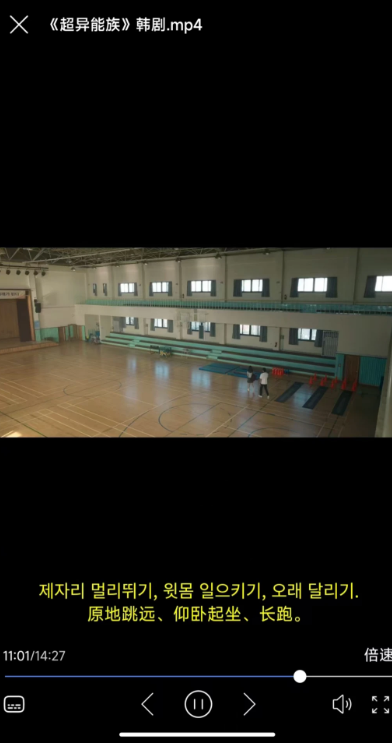X字幕安卓版 截图3