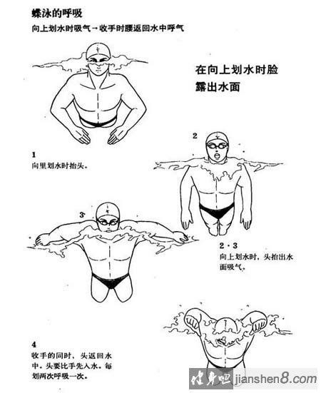 蝶泳技巧图解：动作要领与高效换气方法 1