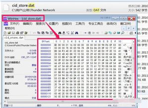 揭秘：轻松查看与打开电脑中的DAT类型文件 2