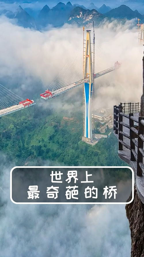 探索桥梁的奇妙世界：全面解析桥的知识 1