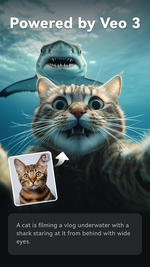 FilmoraGo Pro专业版 截图4