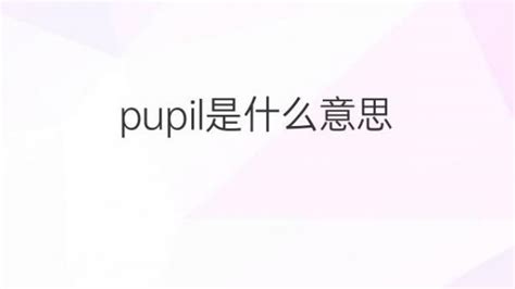 如何正确发音'pupil'？ 5