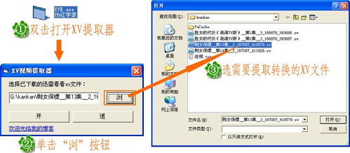 轻松将XV格式转换为常见视频格式的方法 4