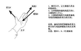 揭秘！左手螺旋定则的神奇用法，轻松掌握不再迷茫 2