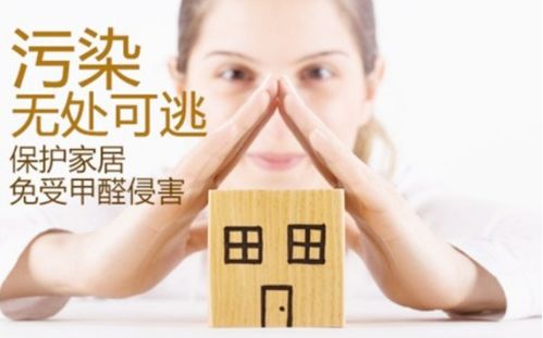 家里甲醛怎么除？快速有效方法大揭秘！ 4