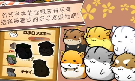 仓鼠的日常旧版 截图4