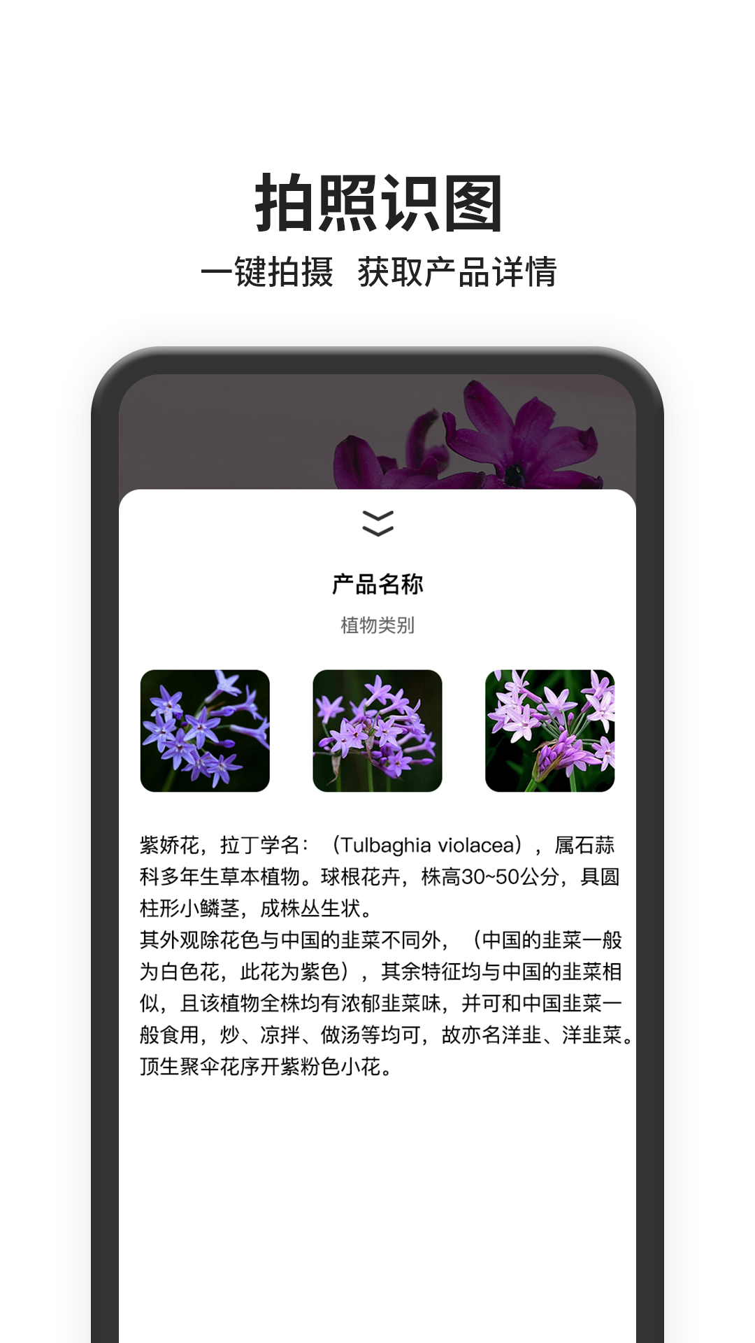 图片搜索APP 截图4