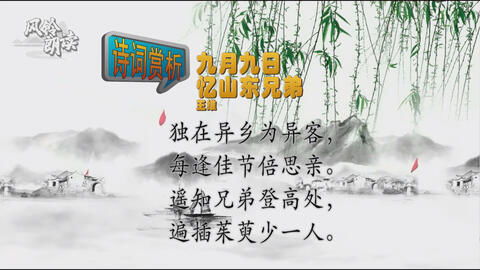 解释古诗句'独在异乡为异客'中的'异'字含义是什么？ 4