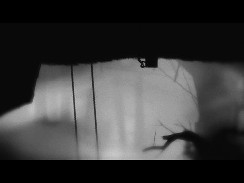 《地狱边境Limbo》第6-10关怎么过？全通关图文攻略秘籍 2