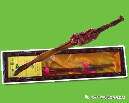 揭秘鹿鞭的绝妙食用方法 1