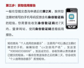 如何快速在手机上找到并访问个人征信中心官网进行查询？ 1