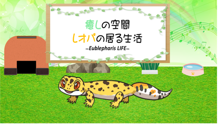 守宫的治愈小屋 截图2