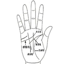 如何通过手相来预测命运？ 4