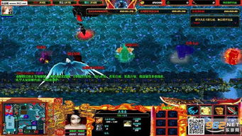 《魔兽逃学大乱斗3.1》高效通关攻略视频 2