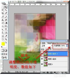 揭秘：如何有效还原被马赛克遮挡的图片真相？ 2