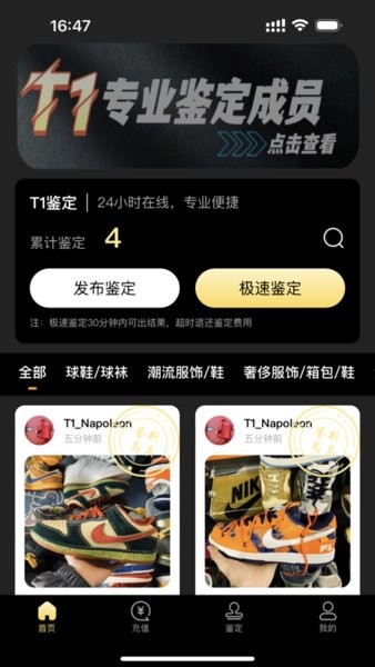 鉴定师(t1鉴定)免费版 1