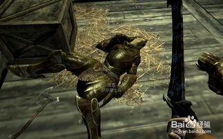 上古卷轴5: Skyrim：使馆风云，外交豁免下的混乱篇章 2
