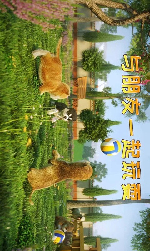 小猫历险记 截图4