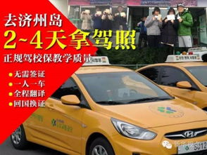 驾照考取轻松指南：一步步教你拿驾照 2