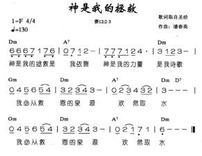 歌曲《再见了，我们的青春》歌词赏析 2