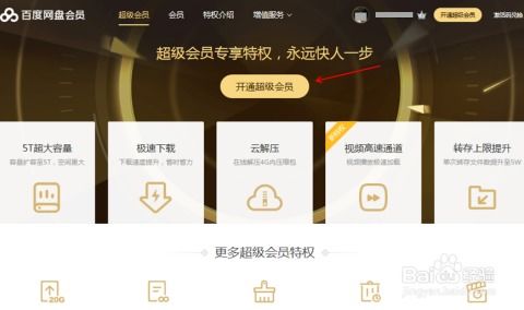 利用百度云实现BT文件下载指南 3