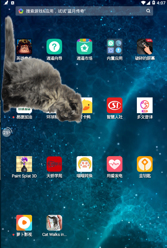 猫咪桌宠 截图3