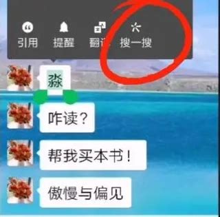 手机微信如何打开“搜一搜”功能？ 5