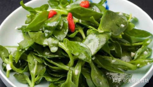 穿心莲高效种植：最佳时间与实用方法揭秘 2