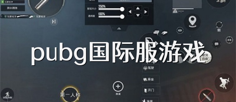 pubg国际服游戏