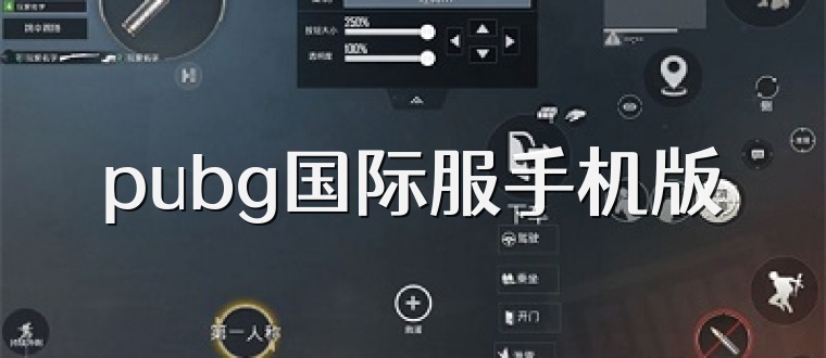 pubg国际服手机版