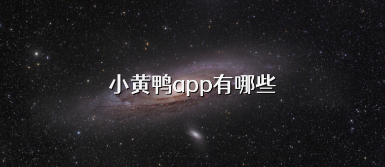 小黄鸭app有哪些