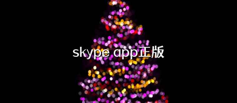 skype app正版