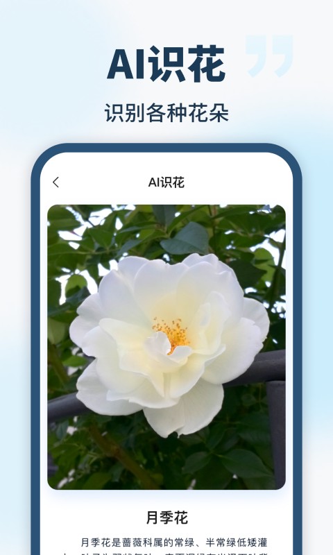 AI智能助手 截图3