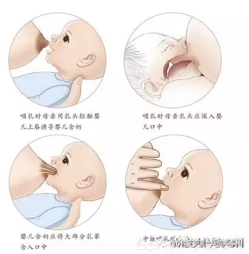 如何掌握正确的母乳哺乳姿势与方法？ 4